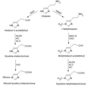 histamine